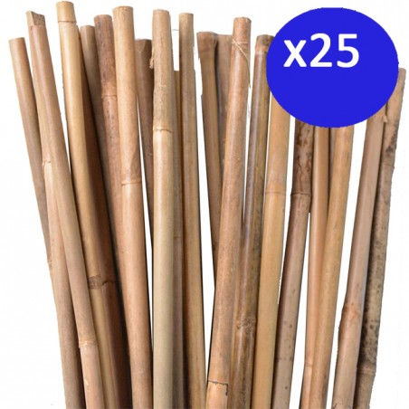 25 Stück Bambusstützen für Pflanzen 100 cm (8-10 mm) – Bambusstäbe