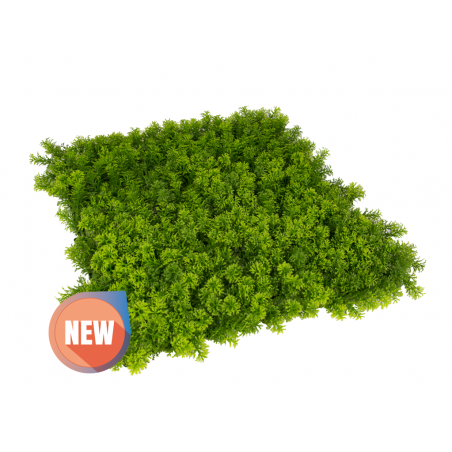 Pack of 4 wild vertical gardens, 50 x 50 cm. They create highly original and fresh environments.