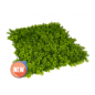 Lot de 4 Mur Végétal Artificiel Brise-Vue Verdissement Balcon Clôture de Jardin, avec Treillis, Feuilles Silvestres, 50 x 50 cm Lot de 4 Mur Végétal Artificiel Brise-Vue Verdissement Balcon Clôture de Jardin, avec Treillis, Feuilles Silvestres, 50 x 50 cm