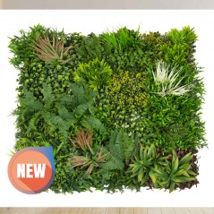 Vertical garden Madagascar 100 x 100 cm. They adapt to any space, creating environments of great originality and freshness