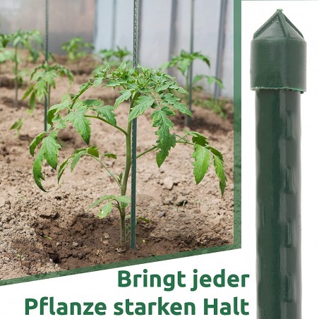 Laminated Bamboo Tutor 180 cm, 14-16 mm diameter