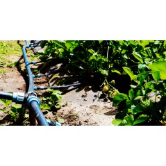 Tuberia agua potable 32mm 10 bar 50m | Tuberia 32 mm PE100 Alimentaria alta densidad AENOR | 5 Codos, 5 Tes y 3 Enlaces