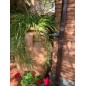 Serbatoio d'acqua da 600 litri | Anfora da giardino da 600 litri con rubinetto | Serbatoio per acqua piovana 92x142 cm | Serbato