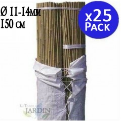 Pack 25 x Tutores de Bambú 150 cm, 11-14 mm. Varillas de bambú, caña bambú ecológica para sujetar árboles, plantas y hortalizas