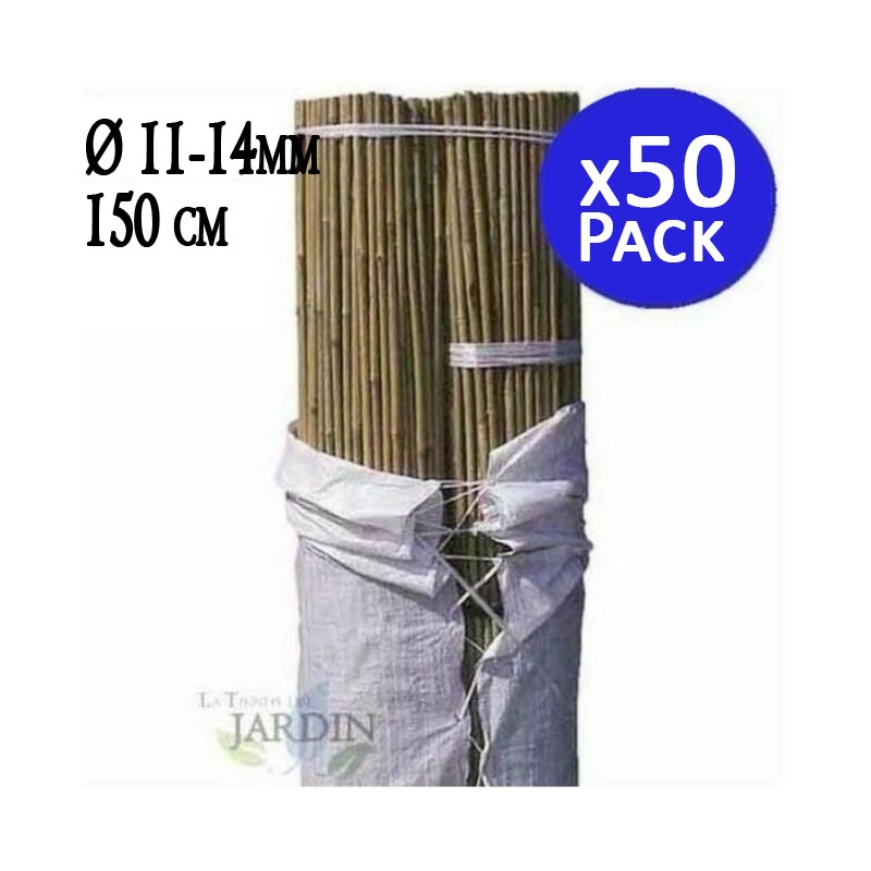 Pack 50 Tutores de bambu natural 150 cm, 11-14 mm. Varillas de bambu ecologicas para sujetar arboles, plantas y hortalizas