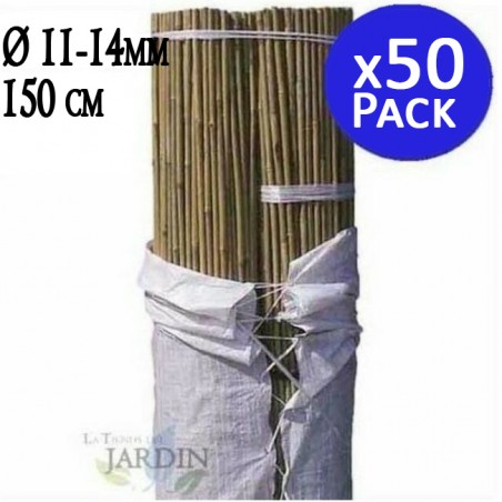 Pack 50 x Bamboo Stakes 150 cm, 11-14 mm.  Bamboo rods, ecological bamboo cane to hold trees, plants and vegetables