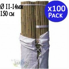 100 x Tuteur en Bambou 150 cm, 11-14 mm. Baguettes de bambou, canne de bambou écologique pour soutenir les arbres