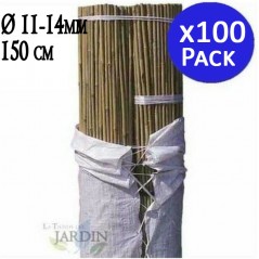 Set di 100 Tutori in Bambù per Piante 150 cm (12-14 mm) – Canne di Bambù, Supporti per Ortaggi, Pomodori, Alberi e Giardinaggio
