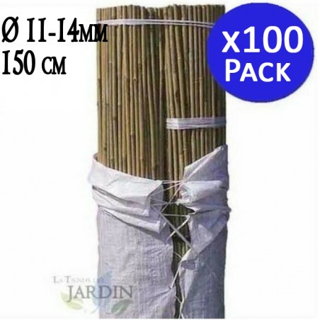 Pack 100 x Tutores de Bambú 150 cm, 11-14 mm. Varillas de bambú, caña bambú ecológica para sujetar árboles, plantas y hortalizas