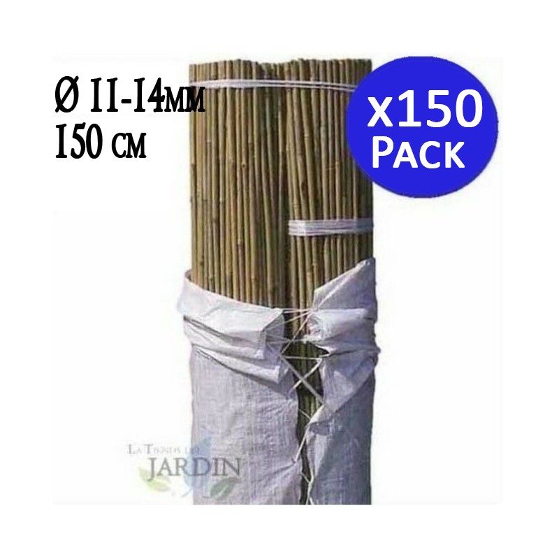 Pack 150 x Tutores de Bambú 150 cm, 11-14 mm. Varillas de bambú, caña bambú ecológica para sujetar árboles, plantas y hortalizas