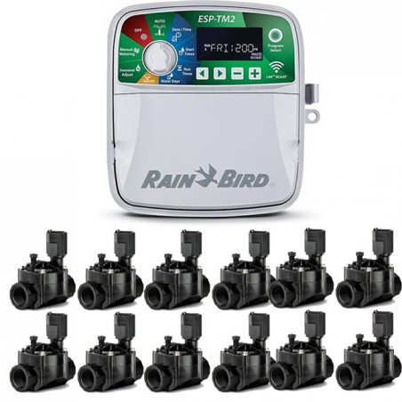 Programmatore di irrigazione elettrico automatico per interni Rain Bird ESP-TM2 a 12 zone + 12 elettrovalvole 100HV 24V 1"