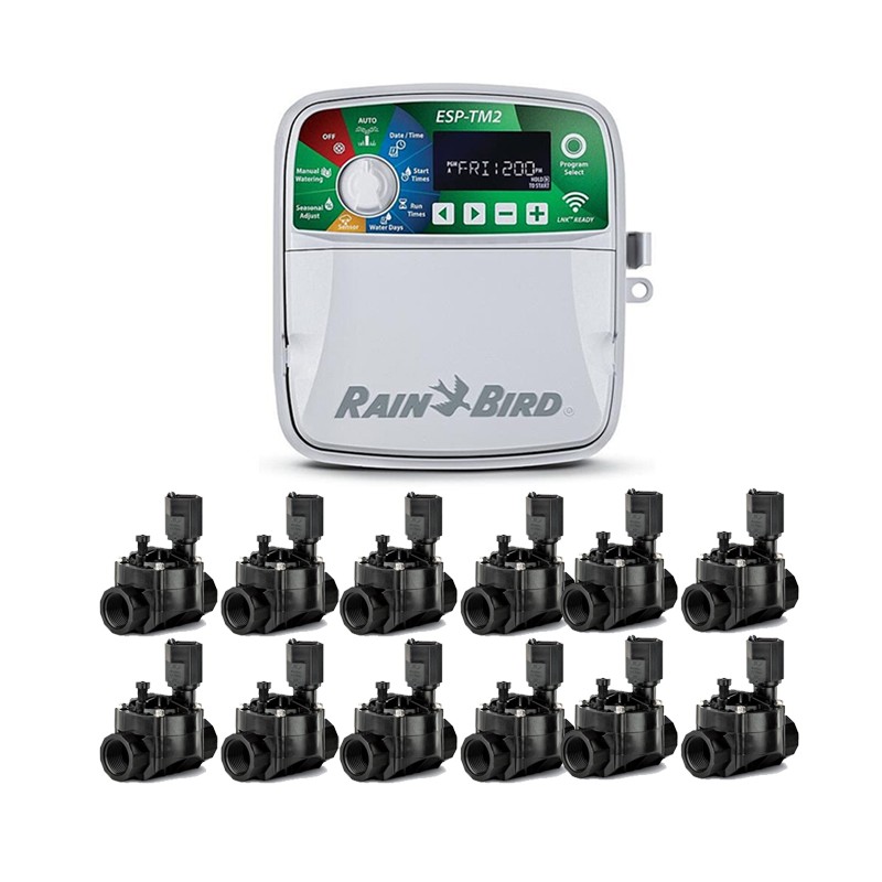 Programador de Riego automático Eléctrico ESP-TM2 12 zonas Interior Rain Bird + 12 Electroválvulas 100HV 24V 1"