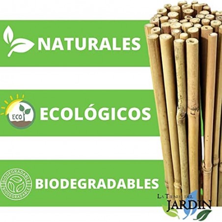 Pack 100 x Tutores de Bambú 105 cm, 8-10 mm. Varillas de bambú, caña bambú ecológica para sujetar árboles, plantas y hortalizas