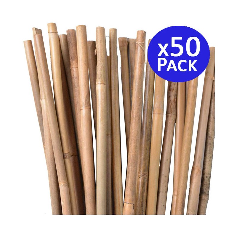 Pack 50 x Tutores de Bambú 105 cm, 8-10 mm. Varillas de bambú, caña bambú ecológica para sujetar árboles, plantas y hortalizas