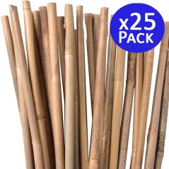 25 x Tuter en bambou de 105 cm, diamètre 8-10 mm. Tuteurs pour plantes. Utilisation agricole pour soutenir les arbres