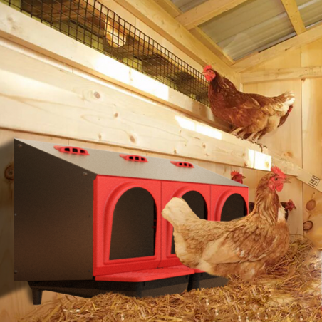 Indoor chicken nesting box with 3 zones, 78x45x48 cm