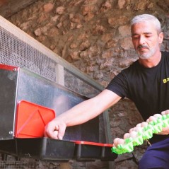Ponedero exterior para gallinas 2 zonas 52x45x48 cm, resistente y compacto para exterior
