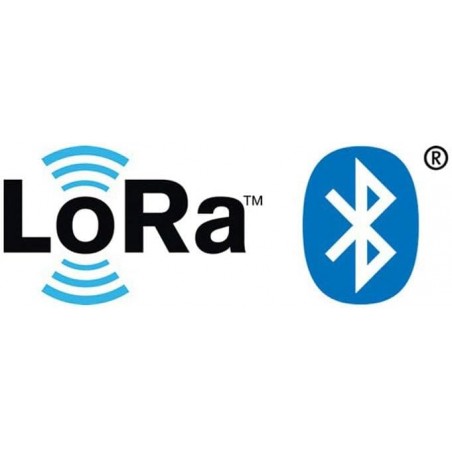 Solem LoRa 9V Bewässerungsprogrammierer, 1 Bewässerungsstation