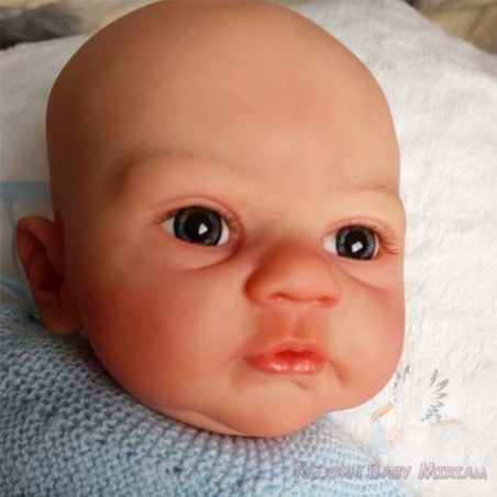 Reborn Lauri elaborado por Reborn Baby Miriam