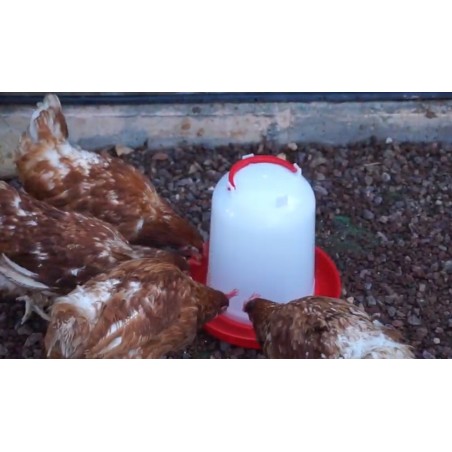 Bebedero Rojo para gallinas de 3 litros. Diámetro 34 cm x Alto 34 cm.