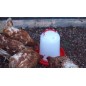 Abreuvoir rouge pour poules de 10 litres. Diamètre 34 cm x Hauteur 34 cm