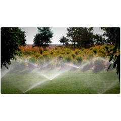 25 x Diffuseur d'arrosage Hunter PS-00-17A, Tuyère d'irrigation avec portée 5,2 mètres