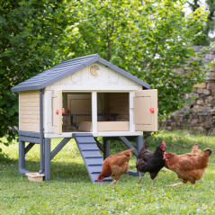 Family Hobby Chicken Coop, Recommended for 5 Chickens, UV, 159x126x128 cm