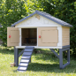 Hühnerstall Familien Hobby, empfohlen für 5 Hühner, UV, 159 x 126 x 128 cm