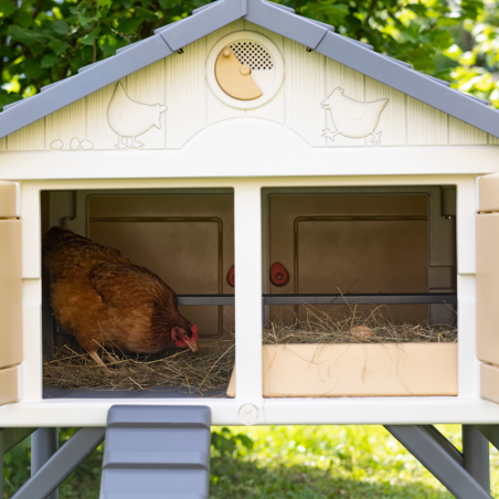 Chicken coop