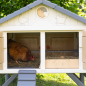 Gallinero de Hobby Familiar, Recomendado para 5 Gallinas, UV, 159x126x128 cm Gallinero de Hobby Familiar, Recomendado para 5 Gallinas, UV, 159x126x128 cm