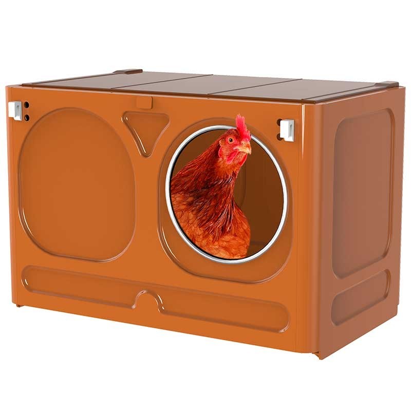 Nid en thermoplastique pour poules, Idéal pour les poulets à couver naturellement, 43x27x29 cm Nid en thermoplastique pour poules, Idéal pour les poulets à couver naturellement, 43x27x29 cm