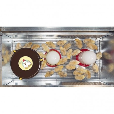 Kükenbrutkasten + Futter- und Tränke + Heizung, 100 x 49 x 60 cm	