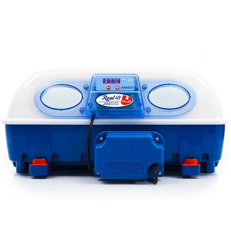 Real 49 Plus Incubatrice automatica per uova per uccelli, dimensioni 58x57x25 cm