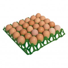 Set di 5 Bassoi in plastica con capacità di conservare 30 uova, misure 30x30x5 cm