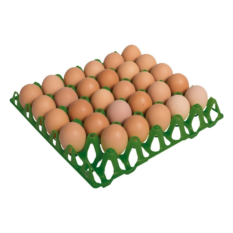 Confezione da 10 vassoi in plastica con capacità di 30 uova, dimensioni 30x30x5 cm