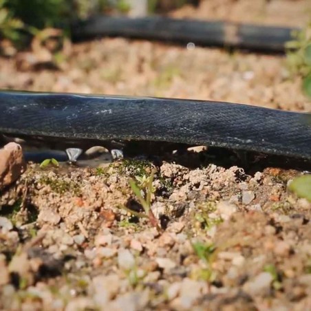 Nastro essudato per irrigazione a goccia da 16 mm. Tubo poroso da 25 metri.