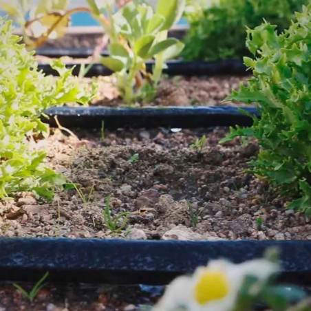 Fita de exsudato para irrigação por gotejamento de 16 mm. Tubo poroso de 25 metros.