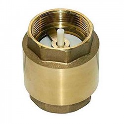 1/4" brass check valve. Prevents water flow back into irrigation pipes.
