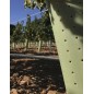 Tubo protector de arboles 60 cm (Pack 5). Protege tus plantas de animales roedores y diferentes plagas.