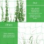 Green Guarding Mesh 2 x 25 meters Green Guarding Mesh 2 x 25 meters