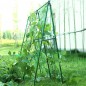 Filet pour Plante Grimpantes, 2x25m Filet Treillis pour Jardin Exterieur,Filet Potager Grimpant,pour Récolte Concombres,Tomates,