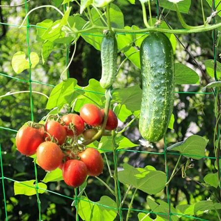 Green support mesh, 2 x 10 meters. Large mesh for climbing plants.