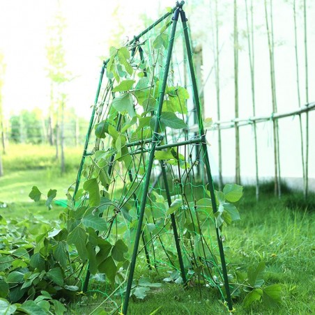 Grünes Stütznetz, 2 x 10 Meter. Großes Netz für Kletterpflanzen.