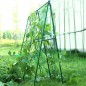 Rete da Picchettamento verde 2 x 10 metri. Piante Rampicanti a Maglia Larga, Cetrioli, Pomodori, Fiori