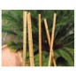 Lot de 4 Tuteur Décoratif Bambou 180 cm, 35/40mm . Tuteurs Ronds en Bois, Piquets de Jardin, Séparation de pièce