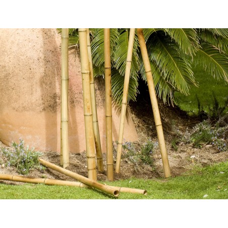 15 x Tuteur Décoratif Bambou 180 cm, 35/40mm. Tuteurs Ronds en Bois, Piquets de Jardin, Séparation de pièce