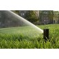 2 Stück Rain Bird 5004-PC 3/4'' Sprinkler, Reichweite 7,60 bis 15,20 m, Verstellbarer Turbinen-Sprinkler 5000 5004 2 Stück Rain Bird 5004-PC 3/4'' Sprinkler, Reichweite 7,60 bis 15,20 m, Verstellbarer Turbinen-Sprinkler 5000 5004