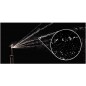 Lot de 3 Buse Rotator Rain Bird RVAN24 45º-270º, portée 5,2 a 7,3 m Lot de 3 Buse Rotator Rain Bird RVAN24 45º-270º, portée 5,2 a 7,3 m
