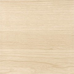 2 x Protecteur extérieur pour bois à base d'eau, incolore mat 750 ml. Protège, décore et embellit tous types de bois