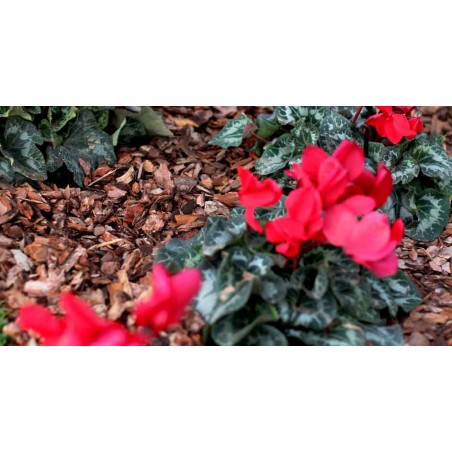 Decorative Pine Bark Substrate for Plants and Peat, 15 Kg-70 L, 25-45mm